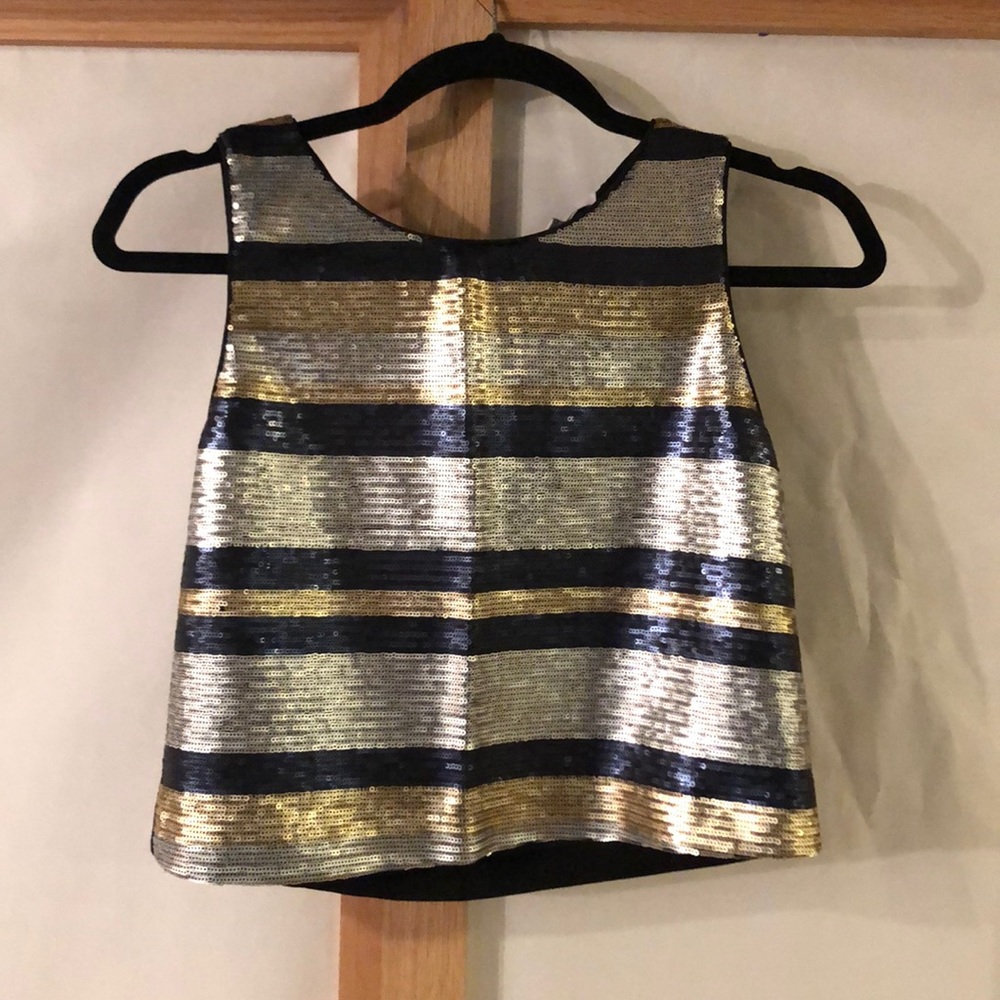 Lucy Paris Cropped Sequin Tank Gold/Silver Stripe